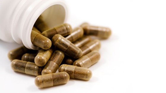 Garcinia Cambogia: Caternil Patty