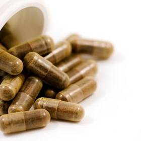 Garcinia Cambogia: Caternil Patty
